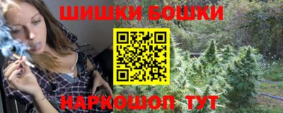 стаф Лесосибирск