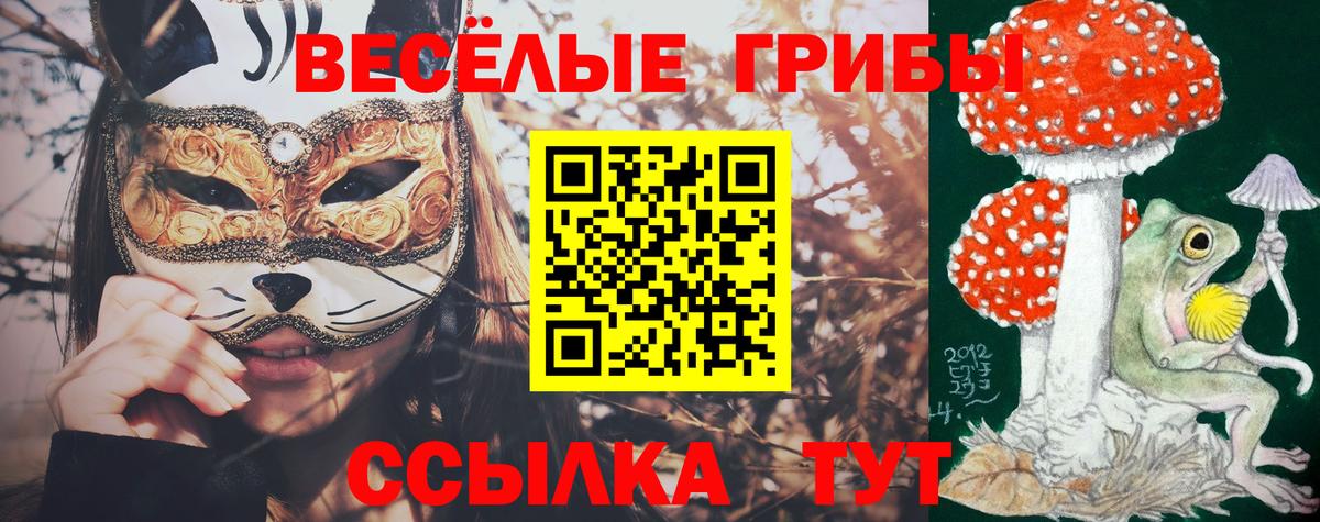 Псилоцибиновые грибы ЛСД  купить наркоту  Егорьевск  Вход с VPN 