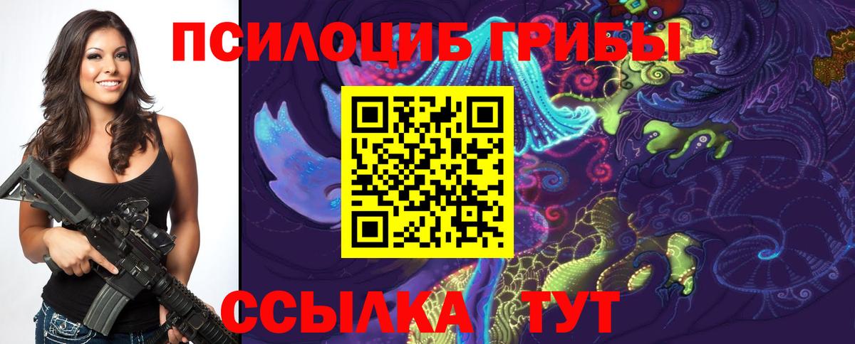 Псилоцибиновые грибы GOLDEN TEACHER Егорьевск